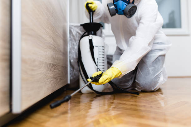 Wildlife Control Services in Pittsville, MD