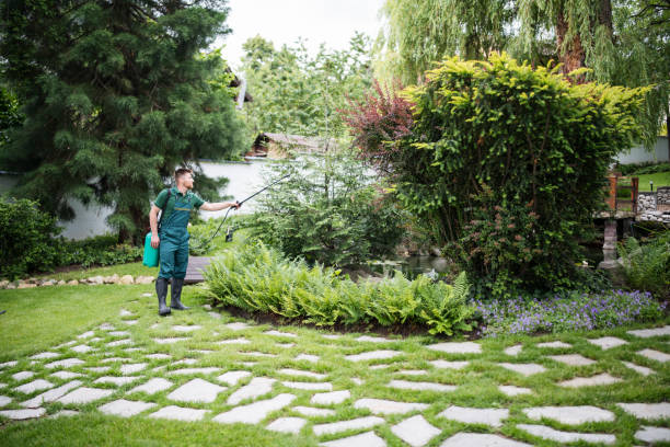 Best Wasp Removal Services  in Pittsville, MD