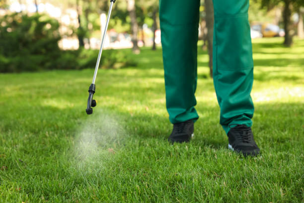 Best Residential Pest Control  in Pittsville, MD