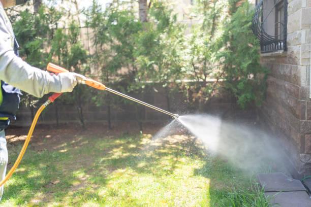 Reliable Pittsville, MD Pest Control Solutions