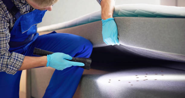 Best Affordable Pest Control Services  in Pittsville, MD