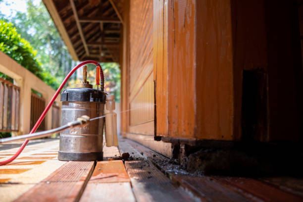 Best Termite Control Services  in Pittsville, MD