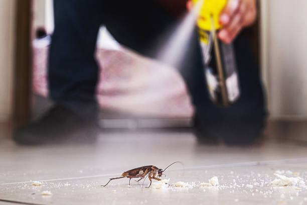 Best Pest Control for Businesses  in Pittsville, MD