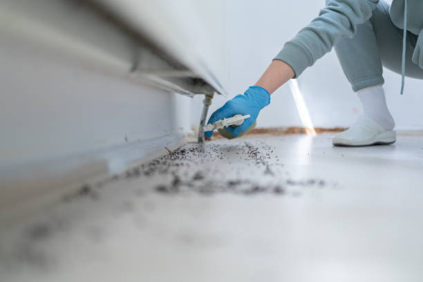 Best Pest Control Near Me  in Pittsville, MD